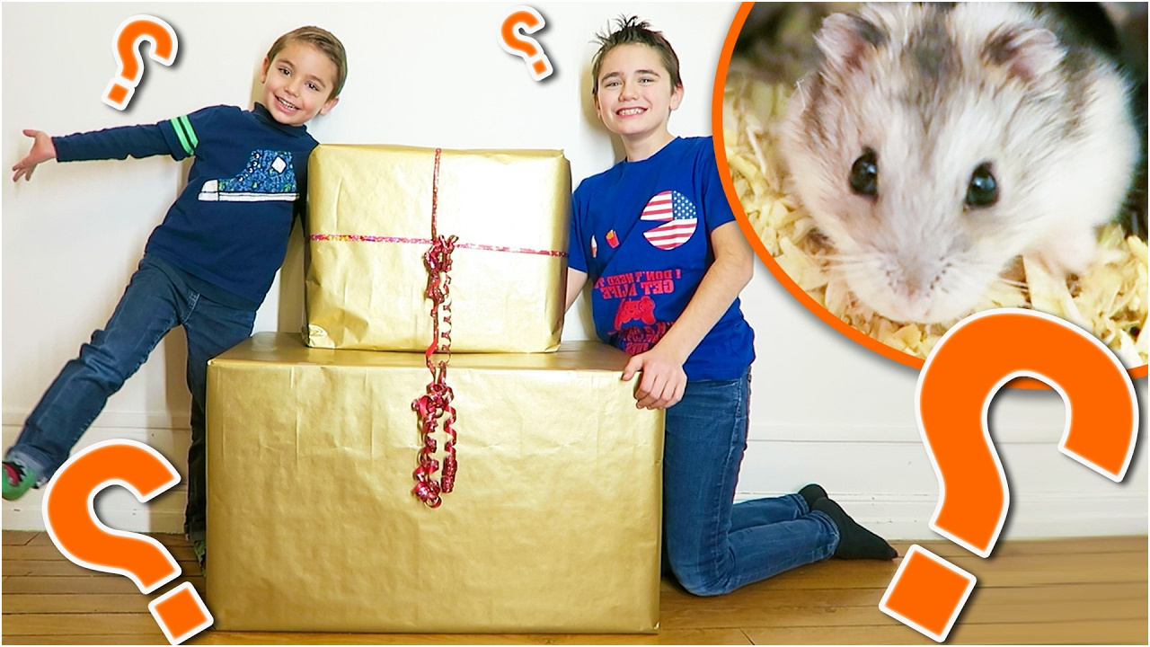 Swan Et Neo Coloriage Nice Gros Cadeaux Surprises Pour Nuts Notre Hamster ??