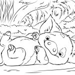 Vaina Coloriage Frais Pua Pet Pig From Moana Disney Coloring Pages Printable