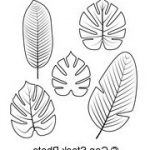 Coloriage Feuille Tropicale Frais Illustrations De Philodendron 243 Images Clip Art Et