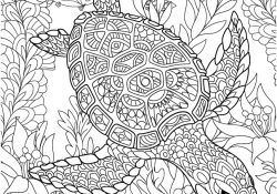 Coloriage Mandala tortue Génial 11 Parfait Coloriage Mandala tortue