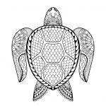 Coloriage Mandala Tortue Génial Turtle Mania