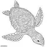 Coloriage Mandala Tortue Luxe Zentangle Turtle Adult Antistress Coloring Page
