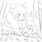 Coloriage Panda Kawaii Meilleur De Cute Panda Family Coloring Page