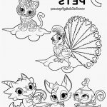 Coloriage Shimmer And Shine Luxe Shimmer Shine Coloring Pages At Getcolorings