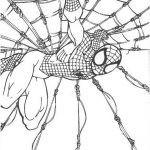 Coloriage Spiderman Homecoming Frais Coloriage Spiderman 11 Momes