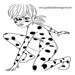 Lady Bug Coloriage Génial Ladybug Para Colorear【2020 】dibujos De Catnoir Para Pintar