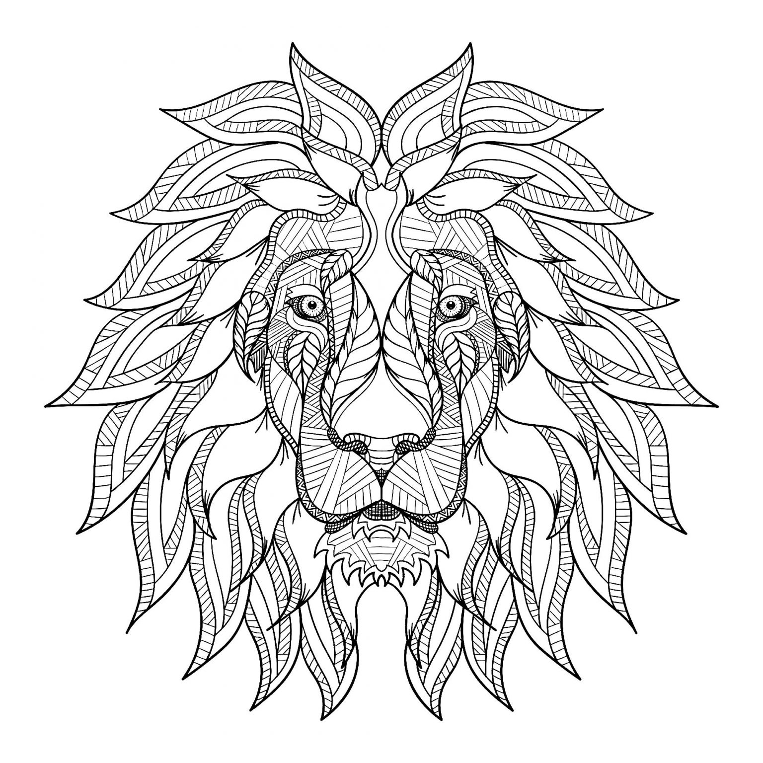 Coloriage Lion Facile Inspiration Lion Head with Big Mane Lions Adult Coloring Pages