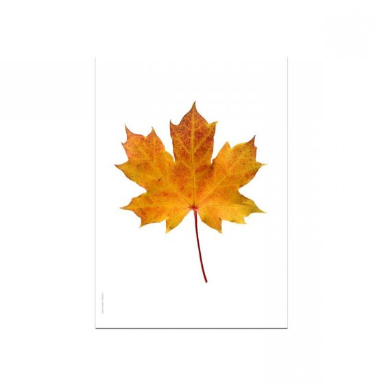 Feuille D'automne Coloriage Unique Affiche A4 Macrophotographie Feuille D érable Liljebergs