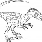 Velociraptor Coloriage Nouveau Velociraptor Dessin Unique Coloriage Dinosaure