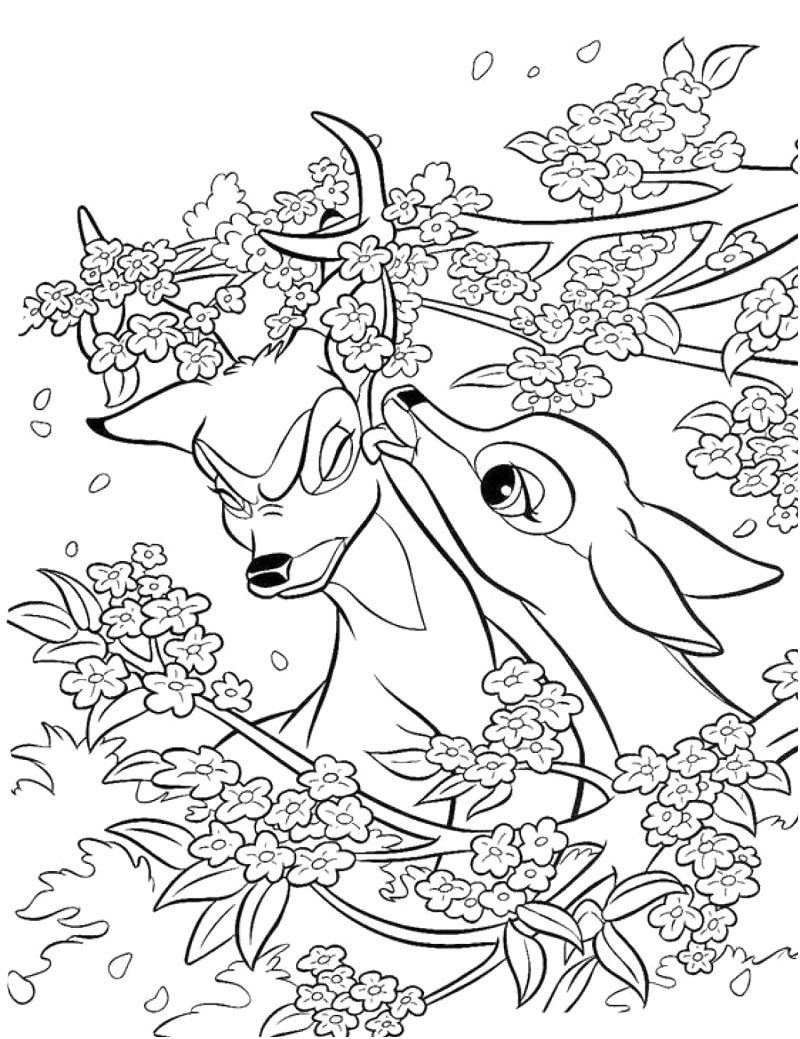 bambi coloring pages 53