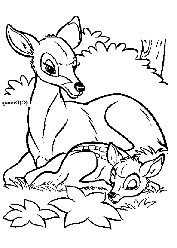 coloriage Bambi 0