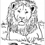 Coloriage Animaux Jungle Imprimer Frais Lion Majestueux Lions Coloriages Difficiles Pour Adultes