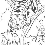 Coloriage Animaux Jungle Imprimer Luxe Coloriage Tigre 1 Coloriages Animaux De La Jungle En Anglais