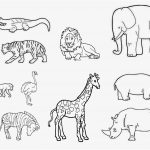 Coloriage Animaux Jungle Imprimer Meilleur De Gabarit Animaux Savane Recherche Google