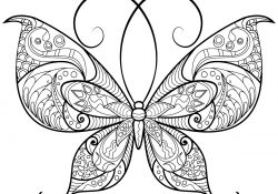 Coloriage Avec Papillons Élégant Dessin De Papillons Gratuit à Télécharger Et Colorier Coloriage De