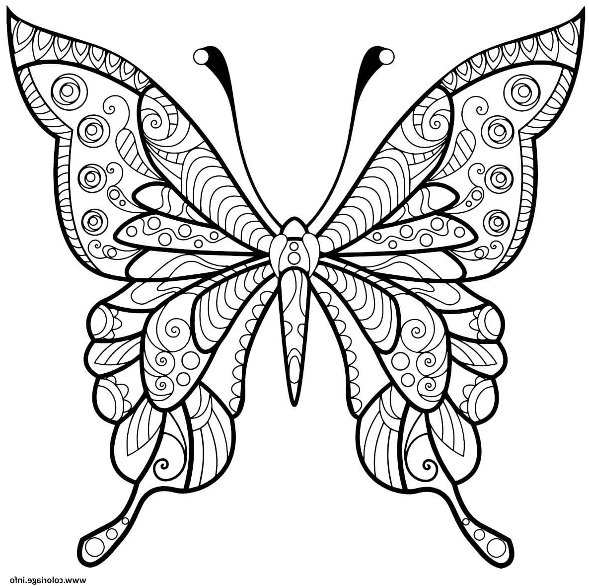 papillon jolis motifs 4 coloriage