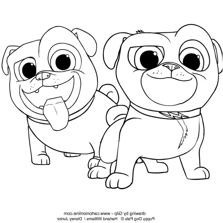 10 Premium Coloriage Bingo Et Rolly A Imprimer Image - Idee de Coloriage