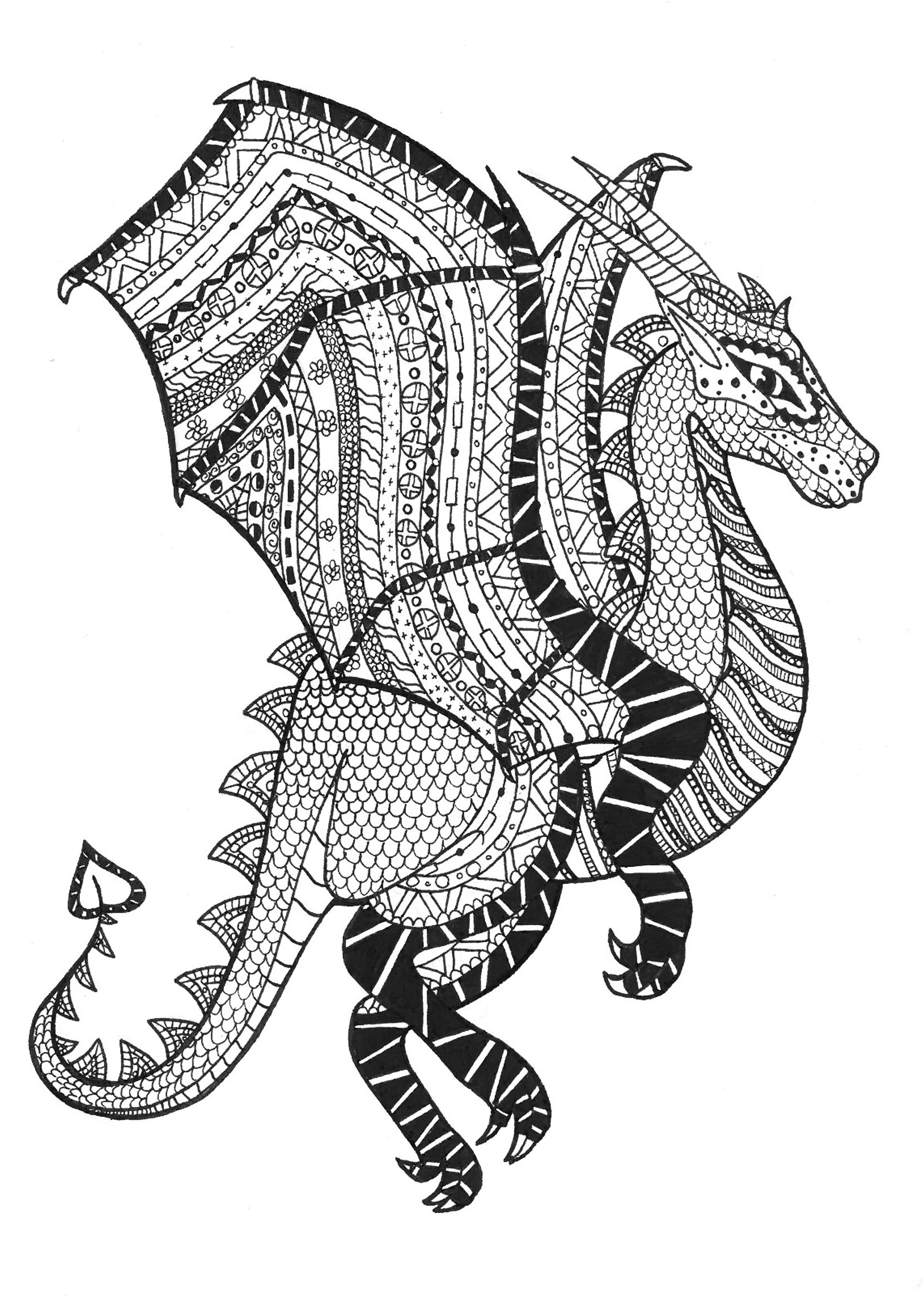 image=zentangle coloring page adults dragon zentangle rachel 1