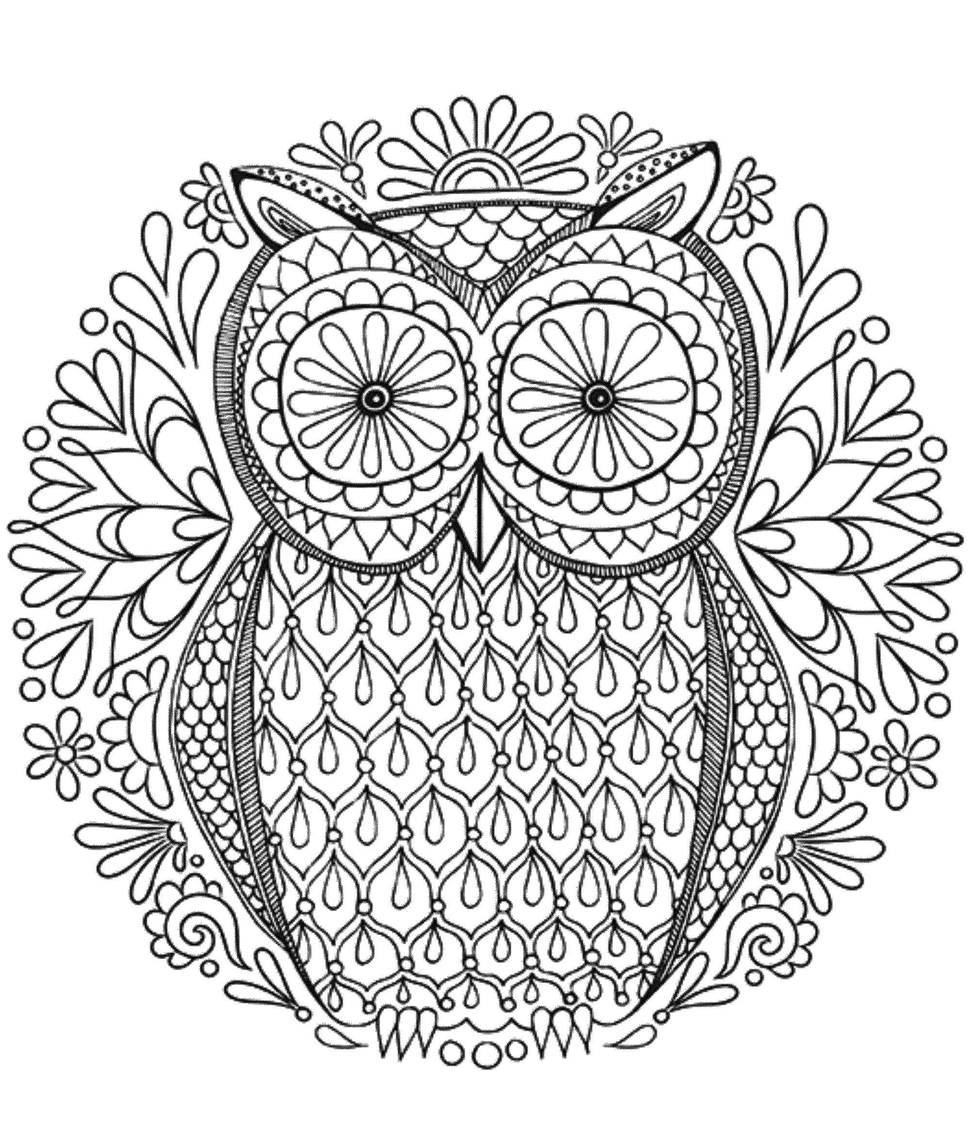 Coloriage Coloriage à Imprimer Luxe Mandala To In Pdf 6from The Gallery Mandalas Owl