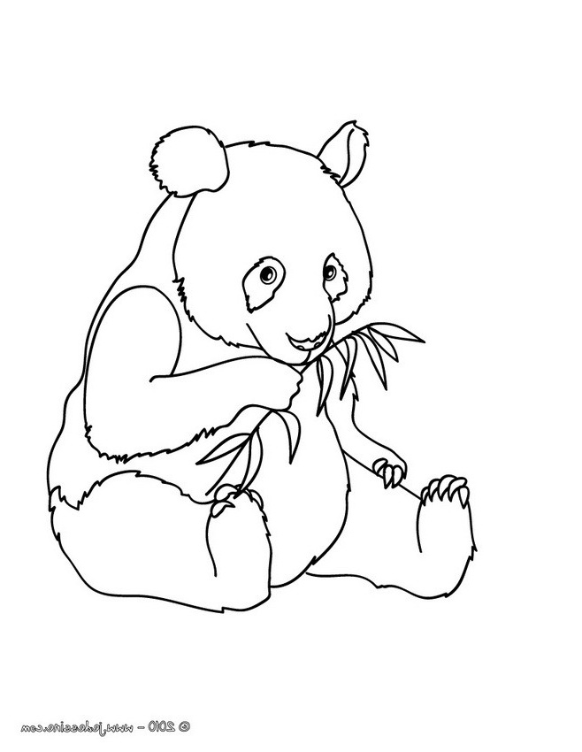 coloriage a dessiner de panda roux a imprimer