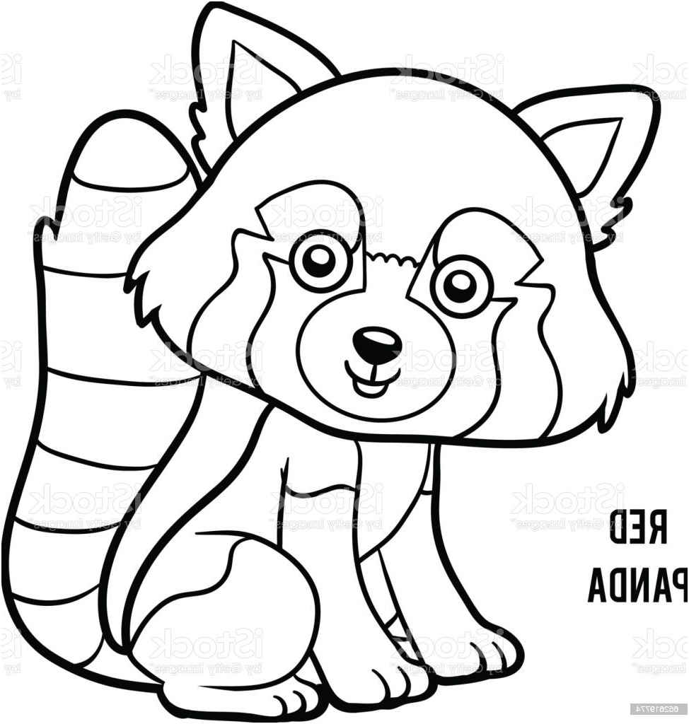 livre de coloriage panda rouge gm