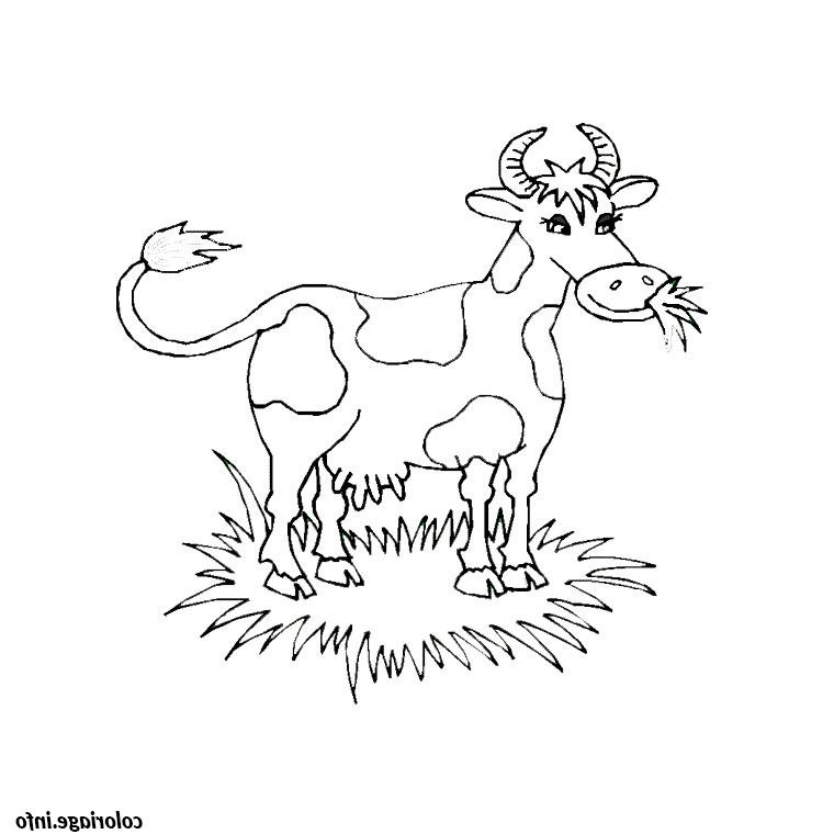 vache yack coloriage