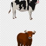 Coloriage De Vache Et Veau à Imprimer Unique Buffalo Clipart Cow Picture Buffalo Clipart Cow
