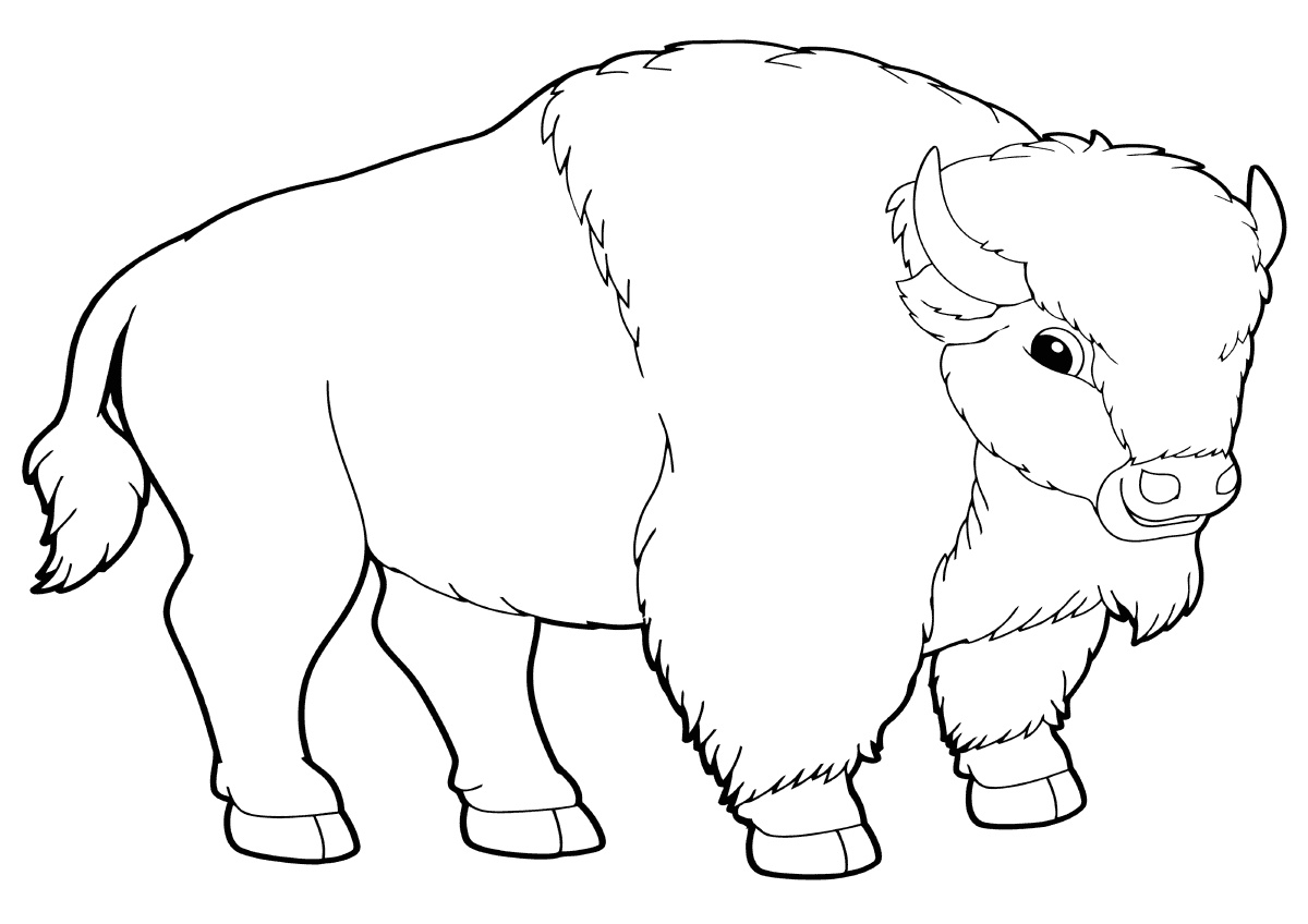 buffalo coloring pages