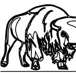 Coloriage Bison Frais Coloriage Animaux Page 31 Of 84 Oh Kids Fr
