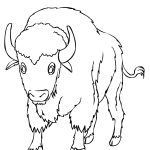 Coloriage Bison Génial Free Printable Bison Coloring Pages For Kids