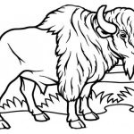 Coloriage Bison Inspiration Pin By Colorluna On Bison Coloring Pages