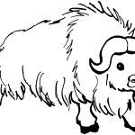 Coloriage Bison Nice Free Buffalo And Bison Coloring Pages