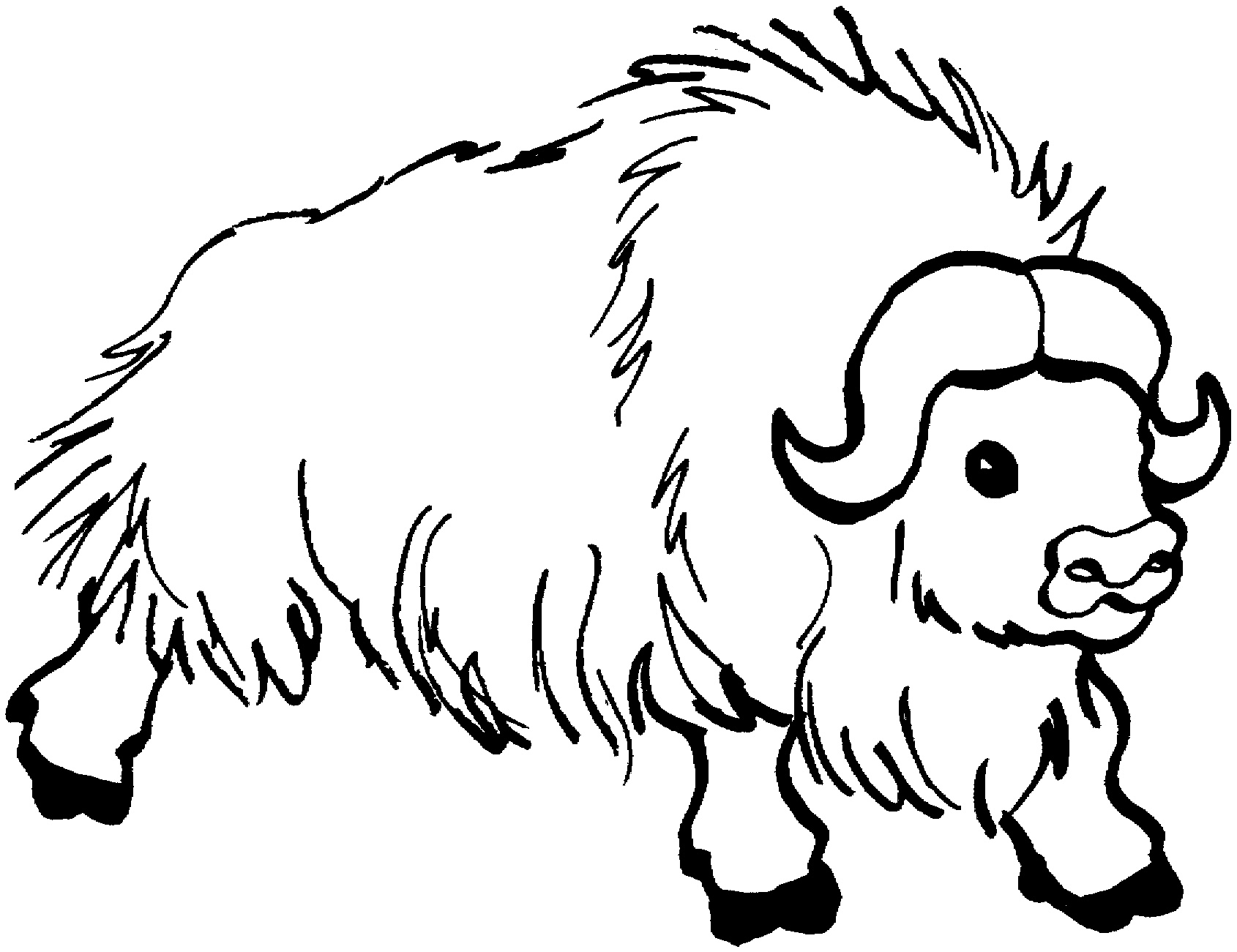 buffalo coloring pages