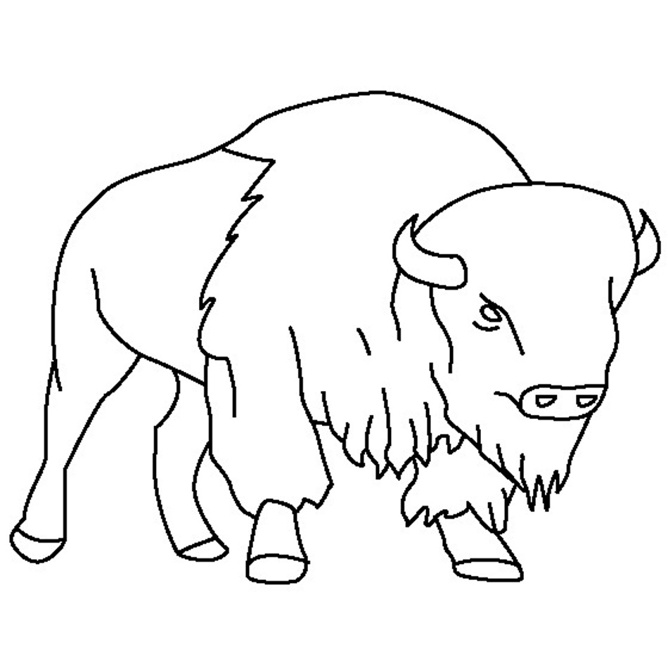 bison coloring pages