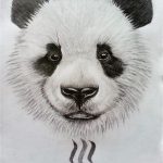 Coloriage De Panda Trop Mignon à Imprimer Meilleur De Panda Drawing At Paintingvalley Explore Collection Of Panda Drawing