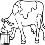 Coloriage De Vache Facile Inspiration Coloriage Une Vache Qui Boit De L Eau Dessin Animaux à Imprimer