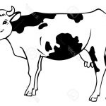 Coloriage De Vache Facile Nice Hand Drawing A Cow With Spots On A White Background
