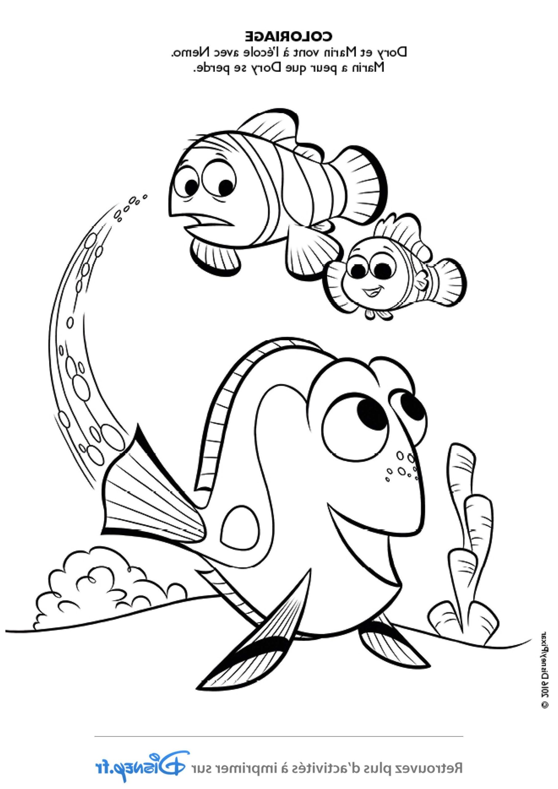 8 agreable coloriage dory images
