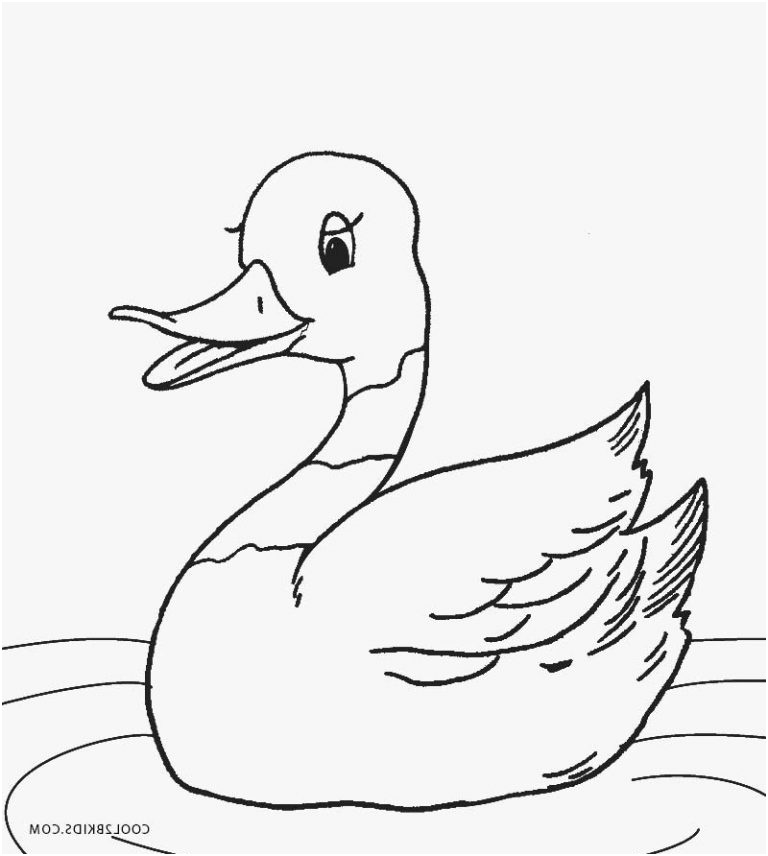 coloriages canard