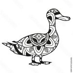 Canard Coloriage Mandala Nice “vector Illustration Of Black And White Duck Mandala For Coloring Book