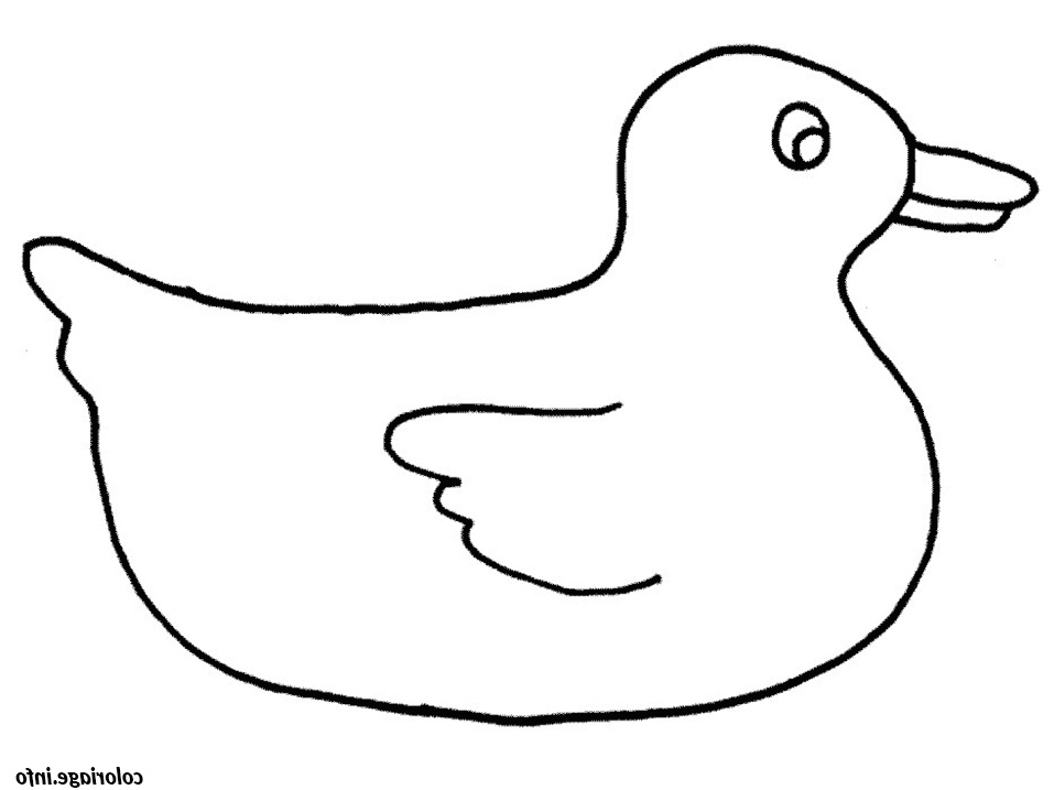 dessin animaux canard coloriage 7360