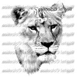 Coloriage Bison à Imprimer Génial Lioness Lion Engraving Lion Png Lion Prints Lion Etsy