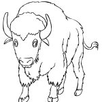 Coloriage Bison A Imprimer Gratuit Luxe American Bison Coloring Pages Free