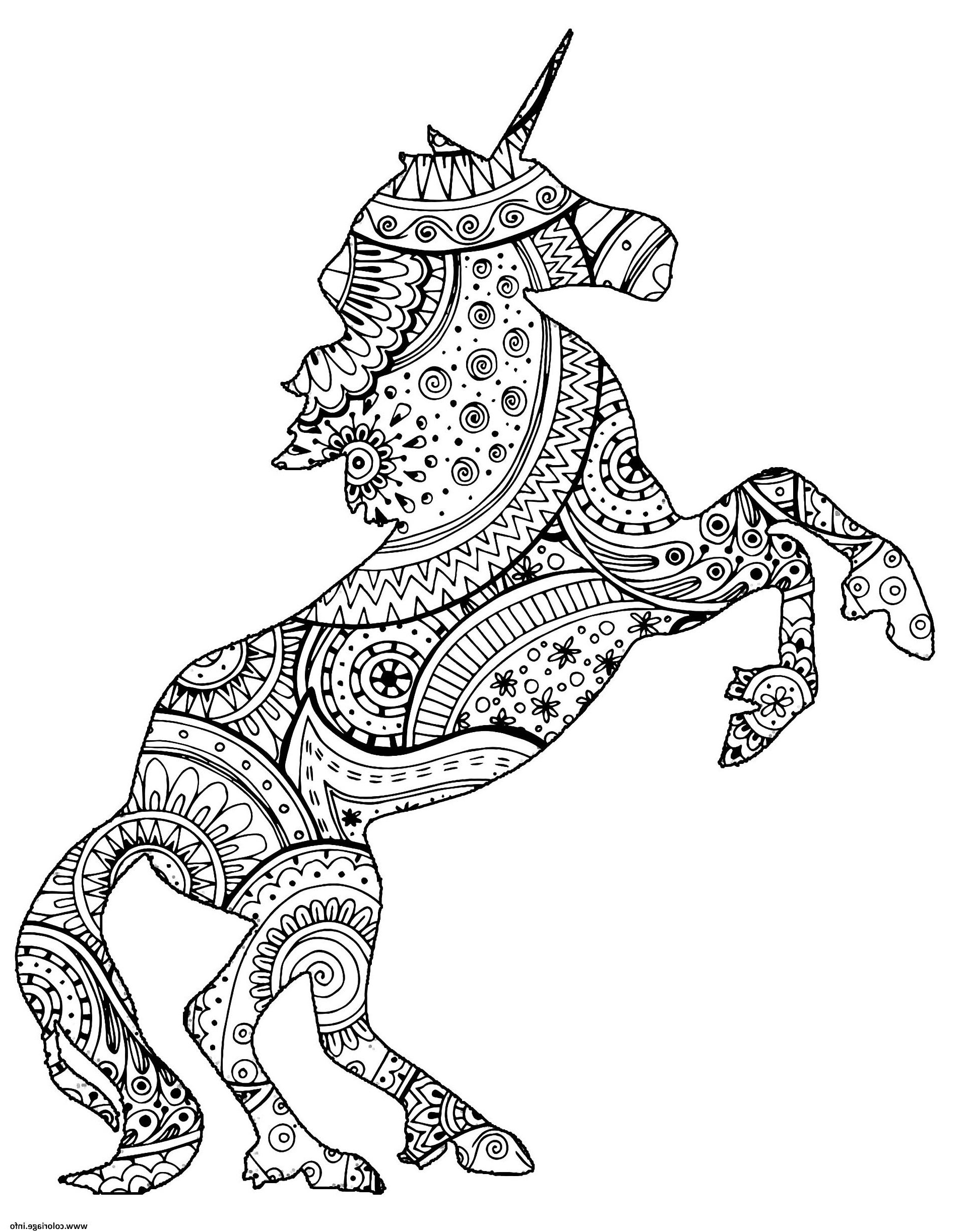 adulte licorne avec zentangle paisley motifs par art isabelle coloriage