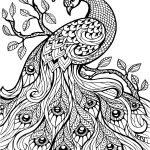 Coloriage De Mandala Animaux Inspiration Animal Mandala Coloring Pages At Getdrawings