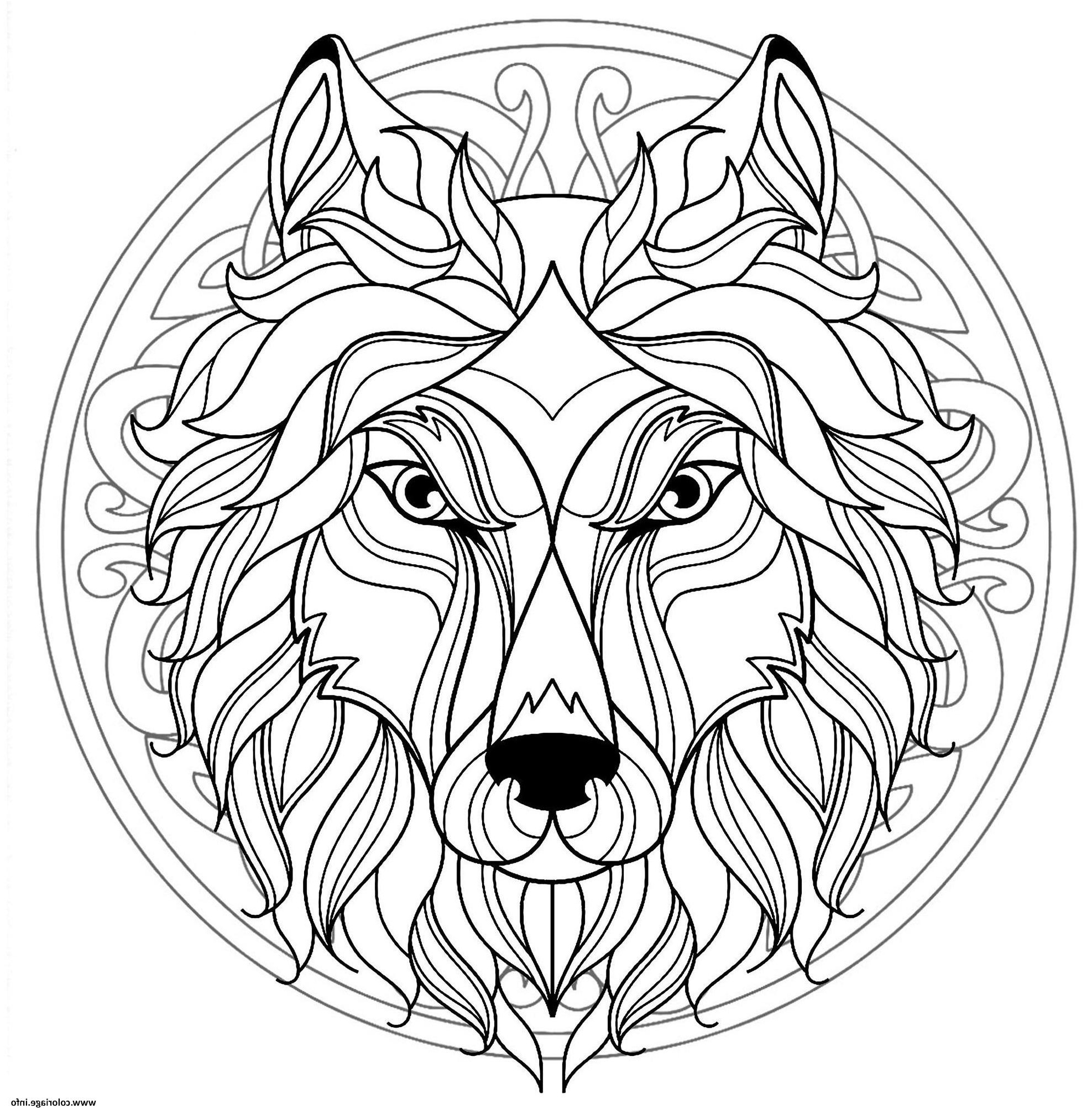 mandala tete loup canis lupus coloriage dessin