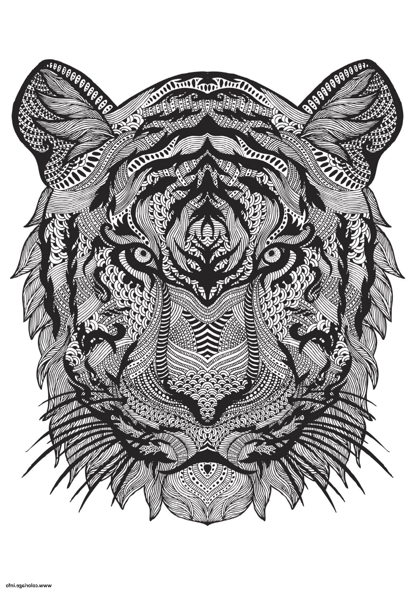 unique coloriage animaux difficile tigre