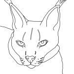 Coloriage Animaux Lynx Inspiration Dessin Lynx Animaux à Colorier – Coloriages à Imprimer
