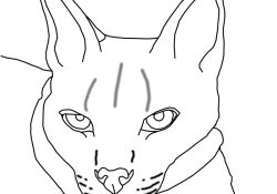 Coloriage Animaux Lynx Inspiration Dessin Lynx Animaux à Colorier – Coloriages à Imprimer