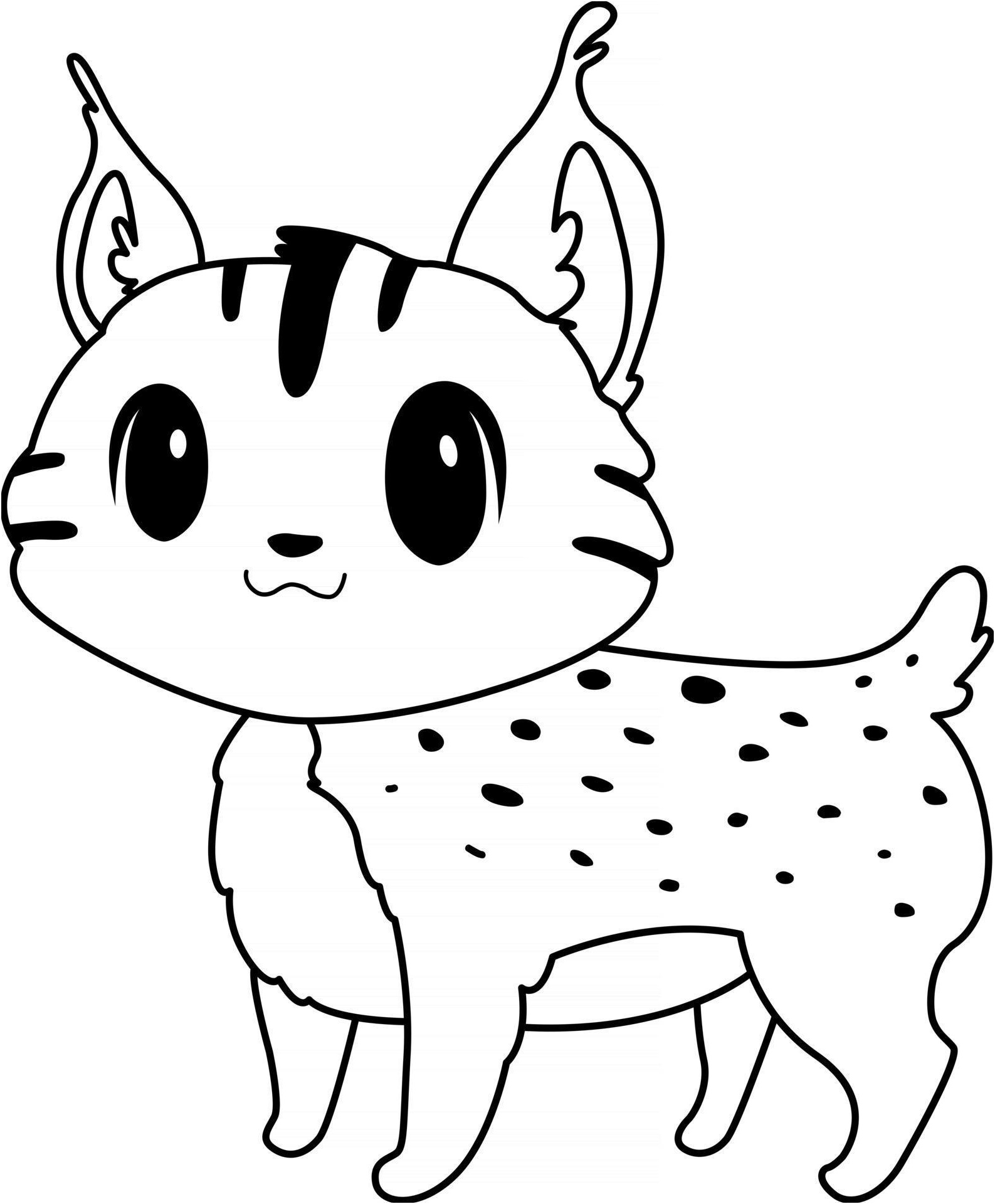 coloriage lynx enfants super livre de coloriage pour debutant